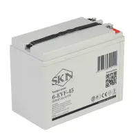 Тяговый аккумулятор Rutrike SKN 6-EVF-45 (12V47.5A/H C5)